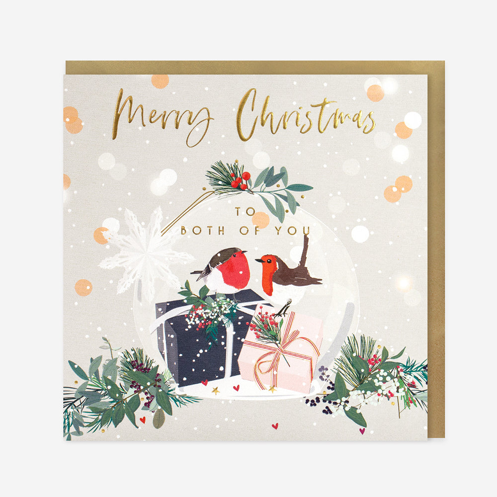 Luxury Christmas Cards - to both of you, robins
