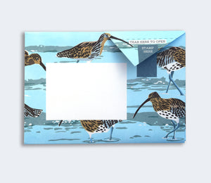 Hebridean Wild Pigeon letter writing set