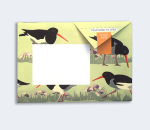 Hebridean Wild Pigeon letter writing set