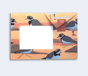 Hebridean Wild Pigeon letter writing set