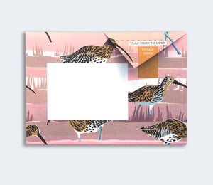 Hebridean Wild Pigeon letter writing set