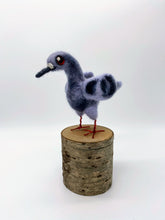 Load image into Gallery viewer, Needle Felted Pigeon

