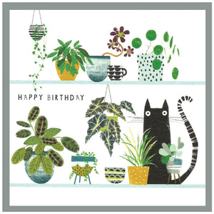 Happy birthday - cat & plants on shelves