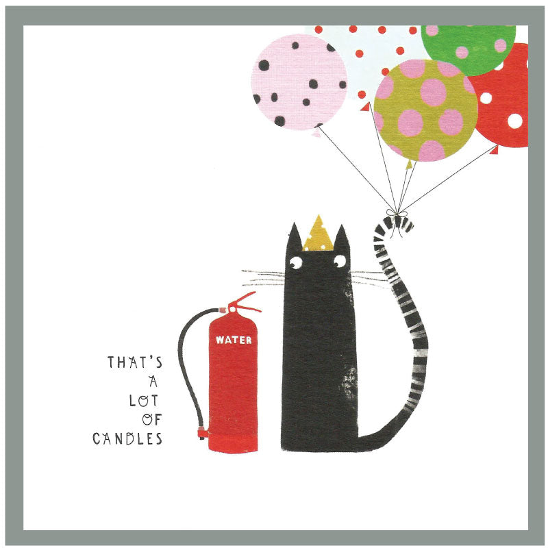 That's a lot of candles - cat fire extinguisher