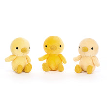 Load image into Gallery viewer, Nesting Chickies
