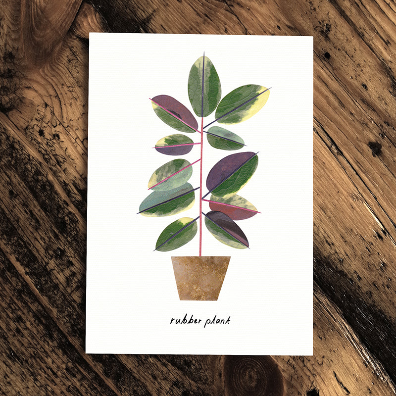 Rubber Plant card