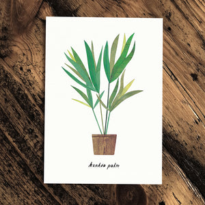 Kentia Palm card