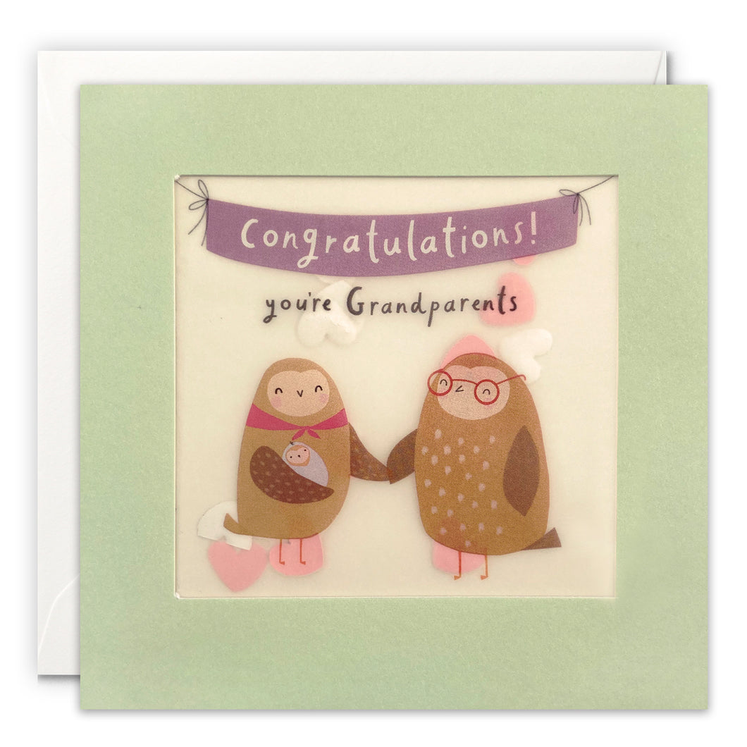 Owl Congratulations you're Grandparents Paper Shakies Card