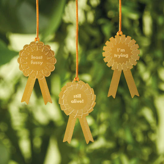 Plant Awards - for the hopeful and humble plants!