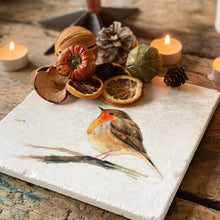 Load image into Gallery viewer, Robin natural marble stone coaster
