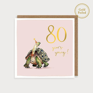 Tortoise 80th Birthday