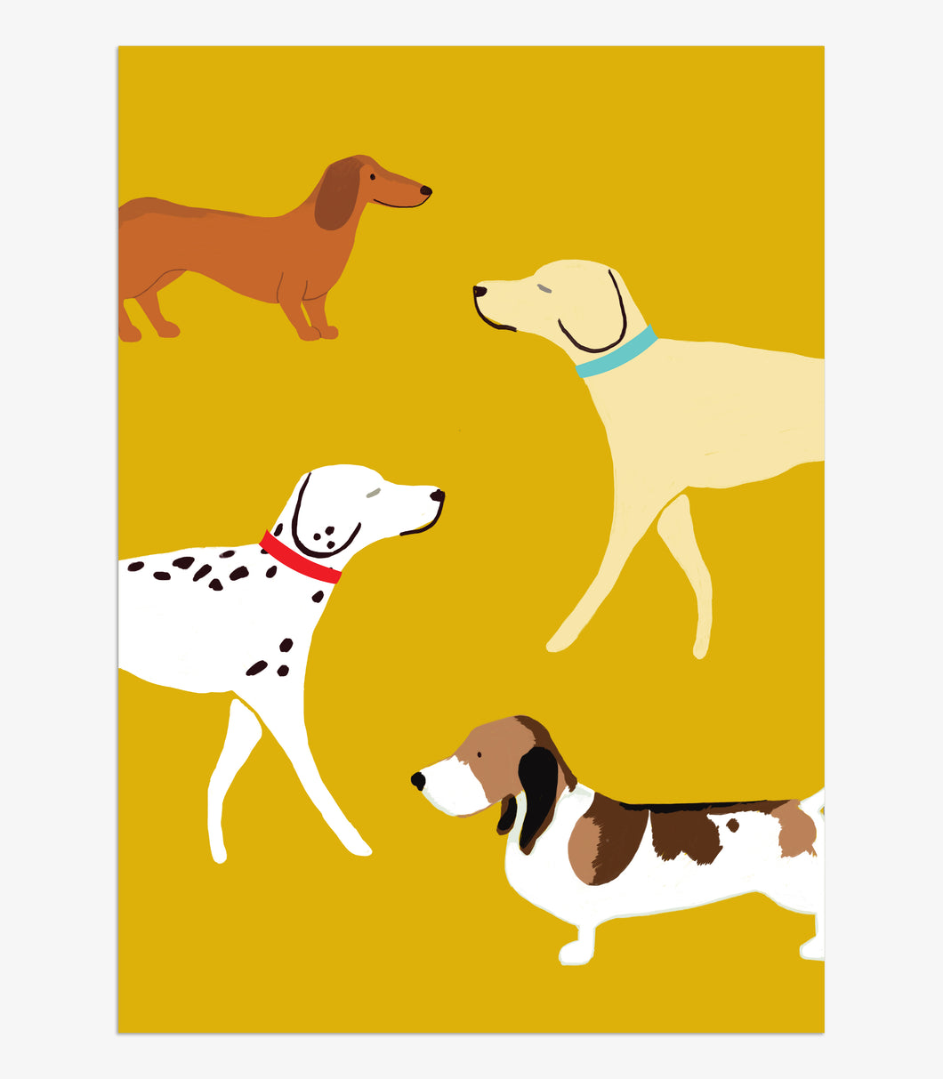 Dogs - pack of 8 cards