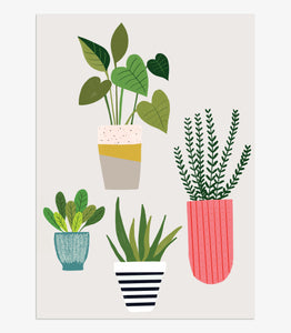 House Plants - pack of 8 cards
