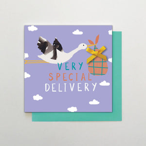 Special Delivery - baby boy