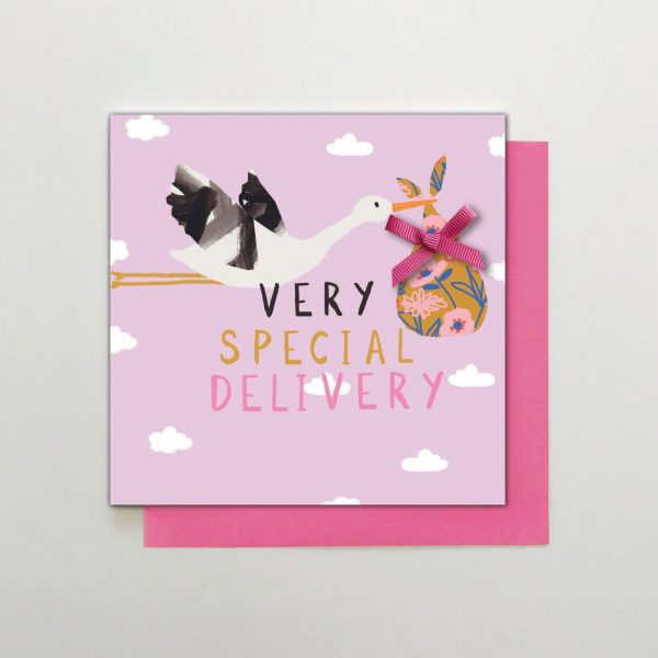 Special Delivery - baby girl