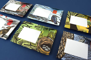 Wonderfully Wild Pigeon letter writing set