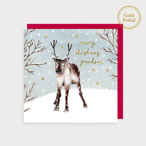 Christmas Card Grandson Reindeer