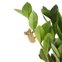 Load image into Gallery viewer, Plant Animal Koala
