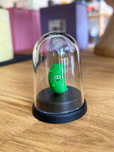 Load image into Gallery viewer, Pet Pickle

