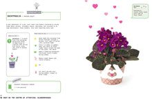 Load image into Gallery viewer, Grow Your Own Pet Plants

