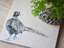 Load image into Gallery viewer, Pheasant natural marble stone coaster

